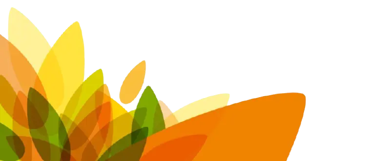 Lazismu Footer Background